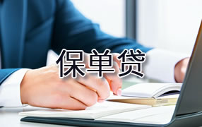 防城港保单贷