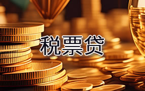 防城港税票贷